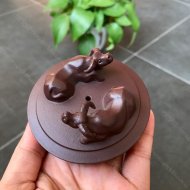 扭轉乾坤