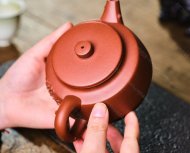 富貴花開(kāi)