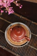 《鳥(niǎo)語(yǔ)花香》