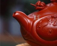 《魚(yú)化龍套組》