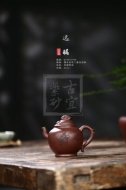 《遠矚》