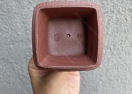 觀(guān)海聽(tīng)濤