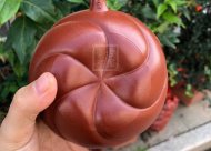 《魚(yú)化龍套組》