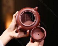 《魚(yú)樂(lè )壺》