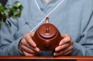 《魚(yú)罩》宜興工藝美術(shù)師全手工紫砂壺茶壺老師底槽青