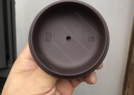 高風(fēng)亮節