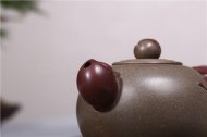 《桃李滿(mǎn)園》