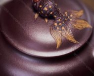 魚(yú)蓮