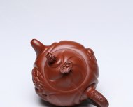 魚(yú)化龍套組