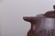 《魚(yú)樂(lè )情》