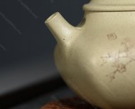 春滿(mǎn)玉壺