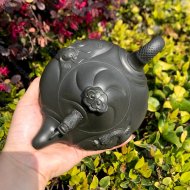 魚(yú)化龍
