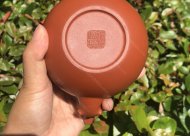 樹(shù)樁葡萄壺；朱泥380CC