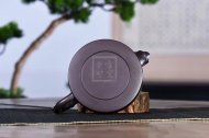 《竹節天際》宜興紫砂壺實(shí)力派名家壺柯老師紫泥實(shí)力派名家手工天際茶壺