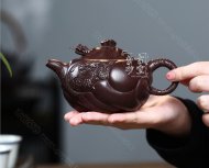 《魚(yú)化龍》