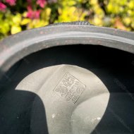 魚(yú)化龍