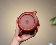魚(yú)樂(lè )