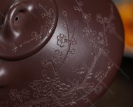 瓣生香獨傲寒，此梅難并眾梅看。 【