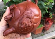 《魚(yú)化龍套組》