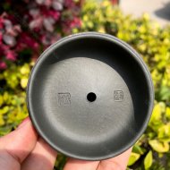 魚(yú)化龍