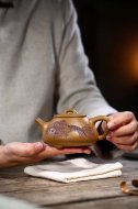 江南好，風(fēng)景舊曾諳【平蓋子冶】