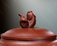 魚(yú)樂(lè )壺