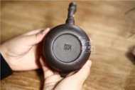 《樂(lè )竹》