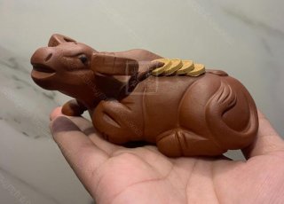 《金錢(qián)福?！? title=
