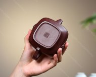 龍驤虎視