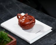 魚(yú)化龍