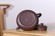 《魚(yú)樂(lè )情》