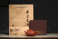 魚(yú)化龍