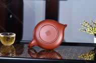 靈鳥(niǎo)
