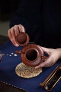 《魚(yú)樂(lè )壺》
