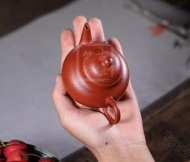 《芭樂(lè )水平》