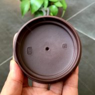 扭轉乾坤