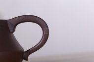 《魚(yú)樂(lè )情》