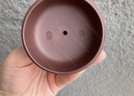 灑金線(xiàn)圓