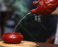 《魚(yú)化龍套組》
