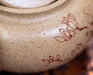 玉蘭花開(kāi)