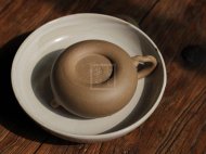 《老樹(shù)靈芝》
