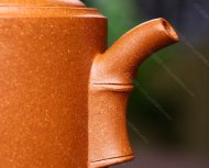 高風(fēng)亮節