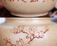 玉蘭花開(kāi)