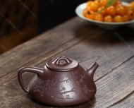 瓣生香獨傲寒，此梅難并眾梅看。 【