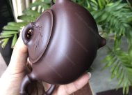 竹韻飄香；紫泥350CC
