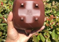 傳爐；底槽清450CC