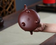 魚(yú)樂(lè )壺