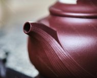 魚(yú)趣