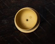 高秦權