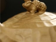 《長(cháng)生》